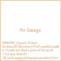 Livex 2281-04